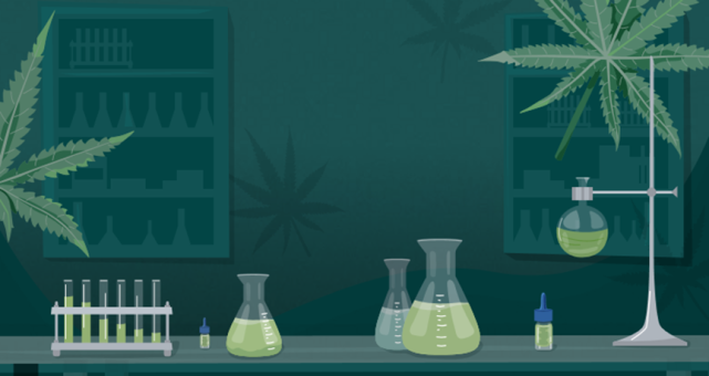 026｜加拿大做什么生意好？温哥华有哪些商机？分享29个创业思路"
