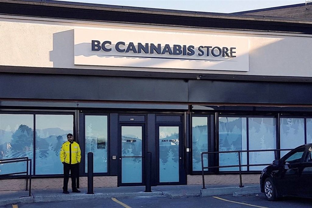 温哥华创业｜揭秘如何在BC省如何开设一家年入百万的大麻店