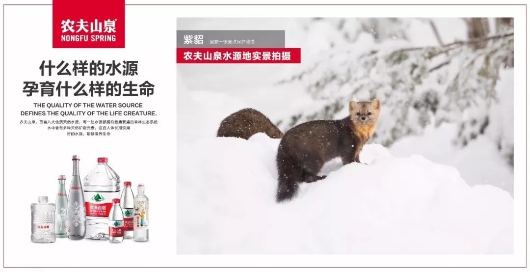 感觉现在的品牌要“成精”~ 2026北美品牌建设流行趋势（策略篇）
